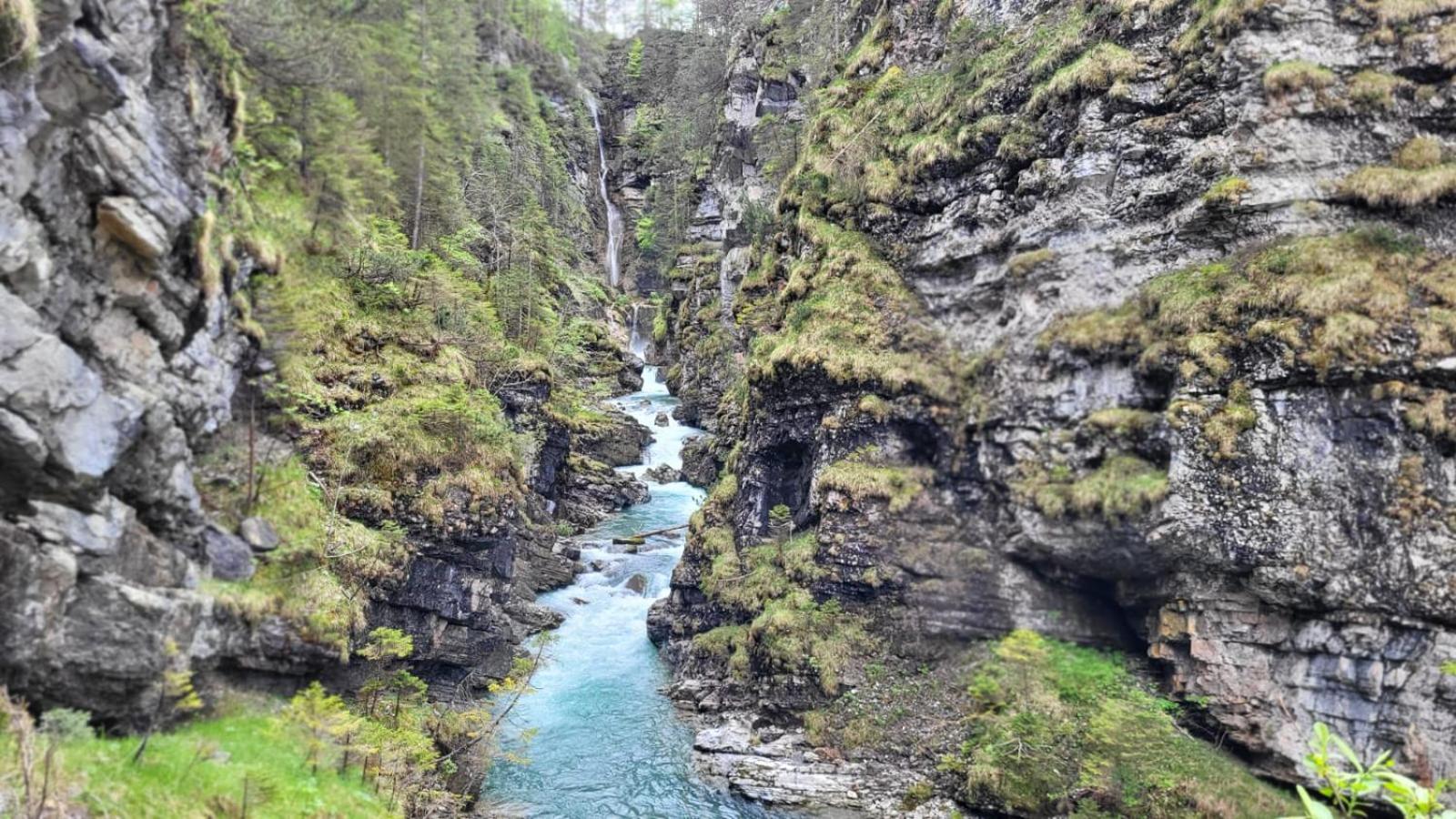 Almtraum Berwang Lägenhet Exteriör bild