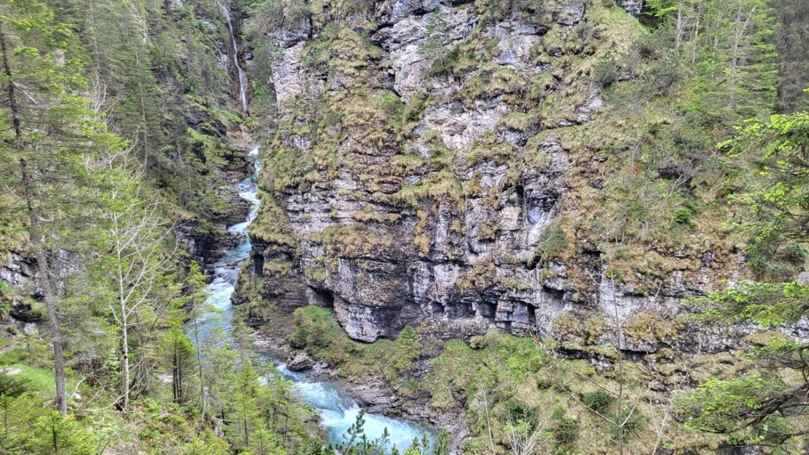 Almtraum Berwang Lägenhet Exteriör bild